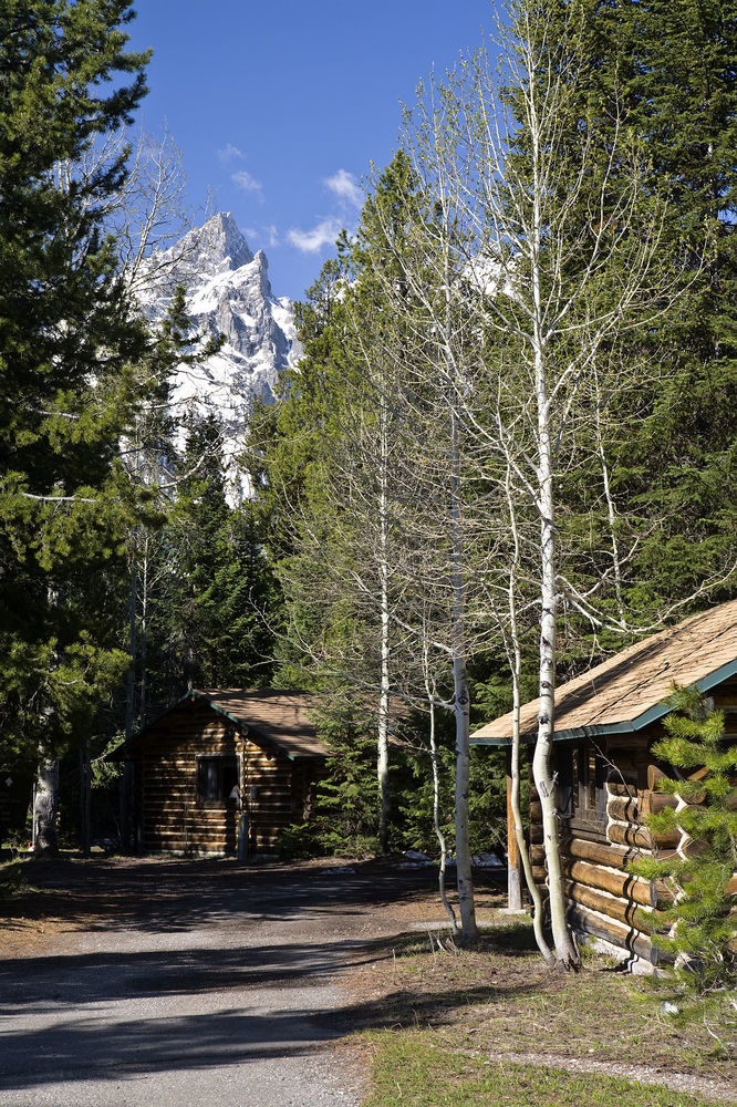 Jenny Lake Lodge Beaver Creek Екстериор снимка